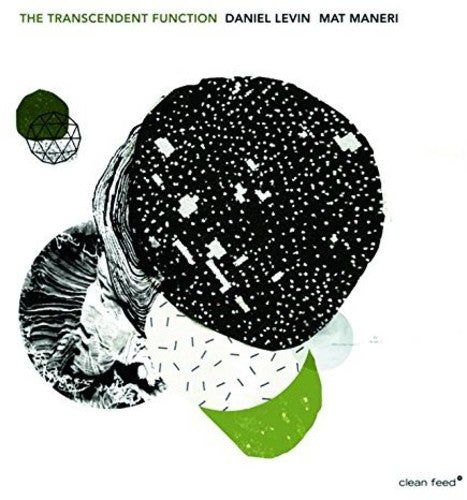 Daniel Levin - Transcendent Function
