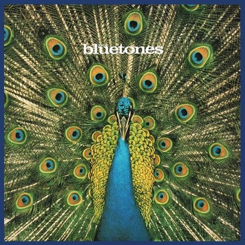 Bluetones - Expecting to Fly