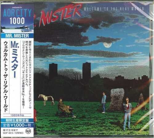 Mr Mister - Welcome to the Real World