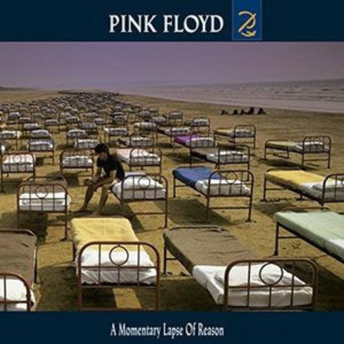 Pink Floyd - Momentary Lapse of Reason