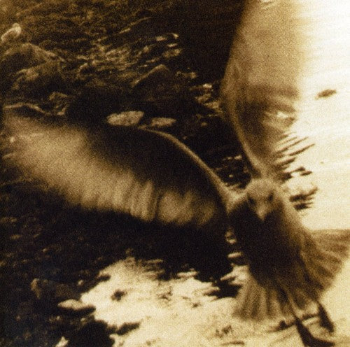 Various - Take Me Home: A Tribute To John Denver