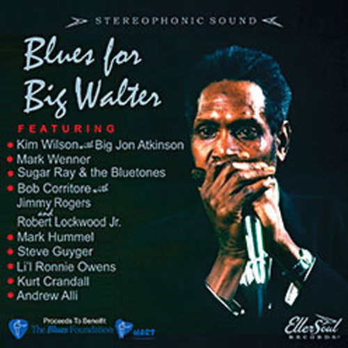 Blues for Big Walter/ Various - Blues For Big Walter (Various Artists)