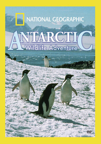 Antarctic Wildlife Adventure