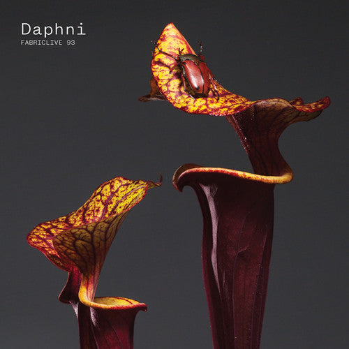Daphni - Fabriclive