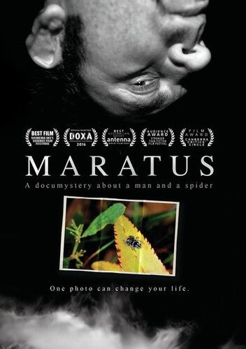 Maratus