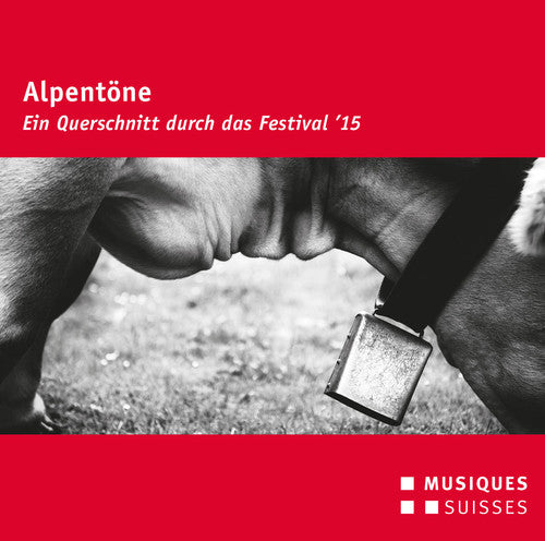 Slavko Avsenik / Matthias Loibner - Alpentone - Festival 2015