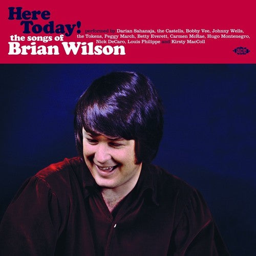 Here Songs of Brian Wilson/ Various - Here Today Songs of Brian Wilson