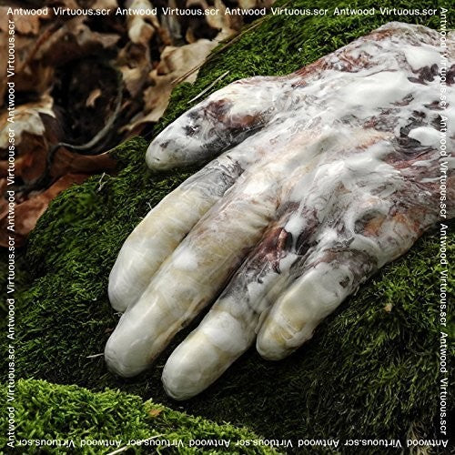 Antwood - Virtuous.Scr