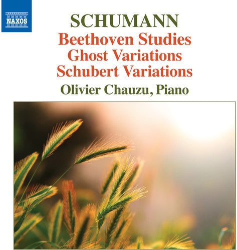 Robert Schumann / Olivier Chauzu - Beethoven Studies Ghost Variations & Schubert Variations