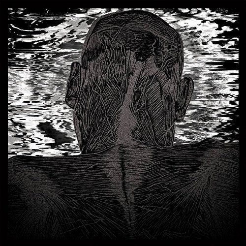 Asher Levitas - Lit Harness