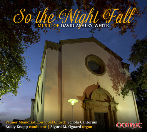 David White Ashley/ Brett Linski / Timothy Hester - David Ashley White: So The Night Fall