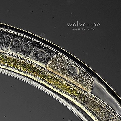 Wolverine - Machina Viva