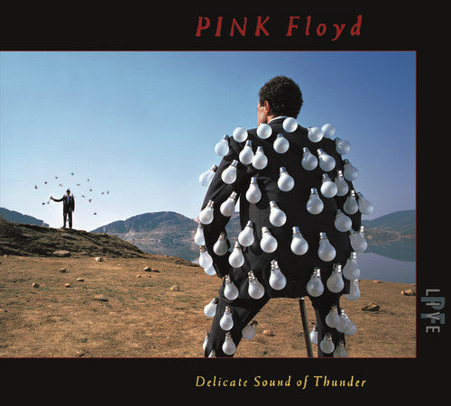 Pink Floyd - Delicate Sound of Thunder