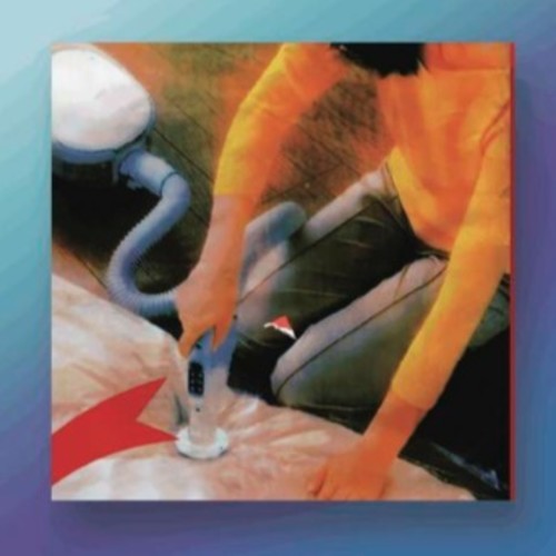 Macula Dog - Why Do You Look Like Your Dog?