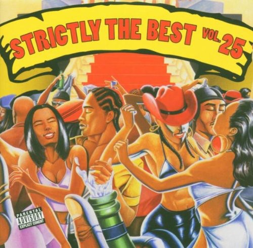 Various Artists - Strictly The Best Vol. 25