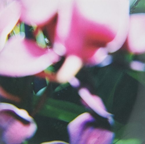 Trade Wind - You Make Everything Disappear