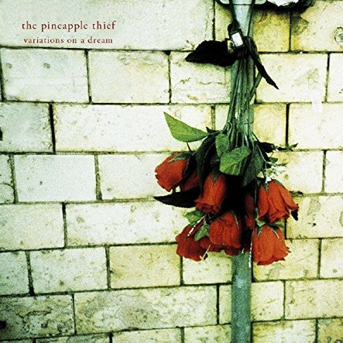 Pineapple Thief - Variations On A Dream