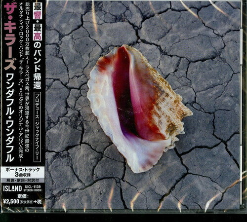 Killers - Wonderful Wonderful