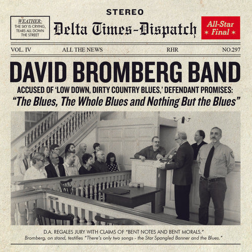 David Bromberg - Blues The Whole Blues & Nothing But The Blues