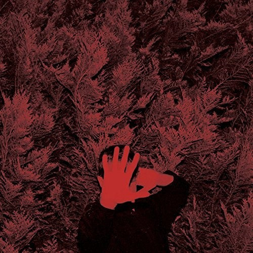 Cory Hanson - Unborn Capitalist From Limbo