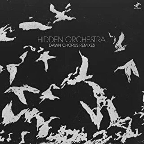 Hidden Orchestra - Dawn Chorus