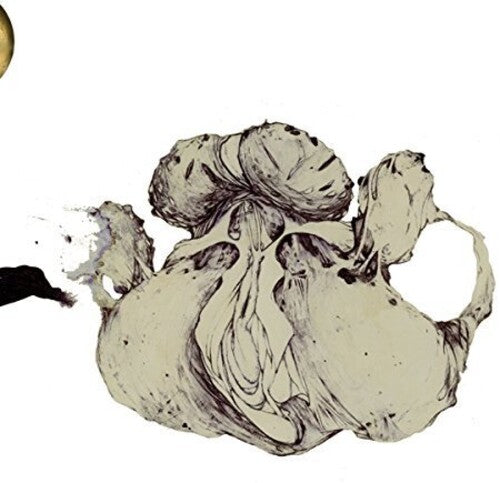 Coil - Ape Of Naples