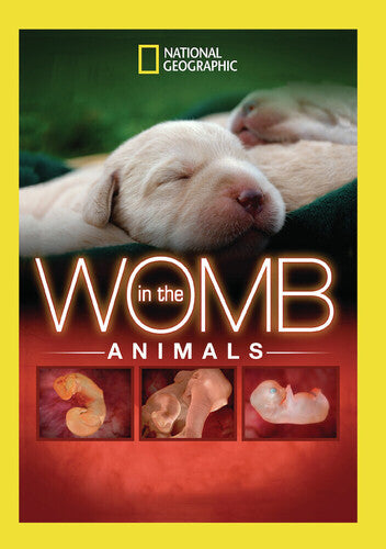 In The Womb: Animals