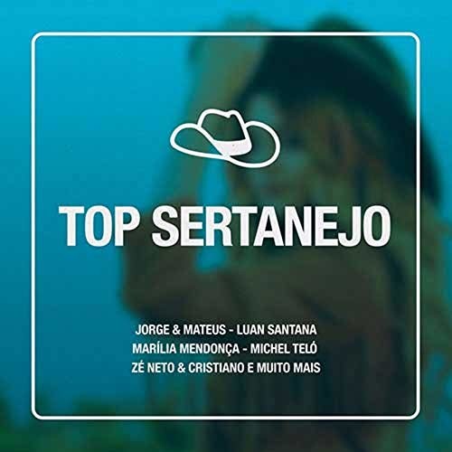 Top Sertanejo/ Various - Top Sertanejo / Various