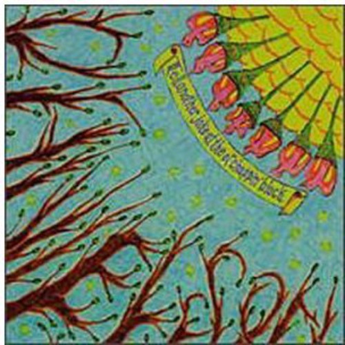 Danielson Famile - Tell Another Joke at the Ol' Choppin' Block