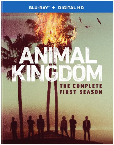Animal Kingdom: The Complete First Season