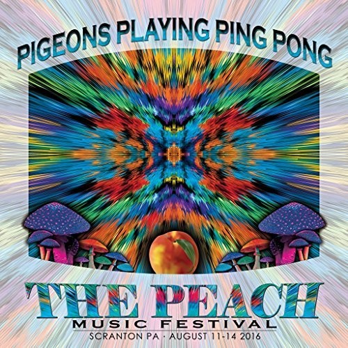 Pigeons Playing Ping Pong - Pigeons Playing Ping Pong / Peach Music Festival 2016