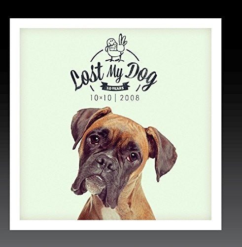 Lost My Dog 10X10: 2008/ Var - Lost My Dog 10x10 - 2008