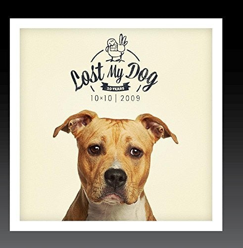 Various Artists - Lost My Dog 10x10 - 2009
