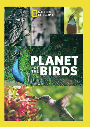 Planet of the Birds
