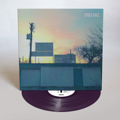 Spider Bags - Someday Everything Will Be Fine