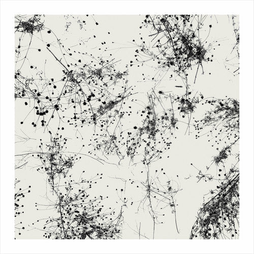 Taylor Deupree - Somi