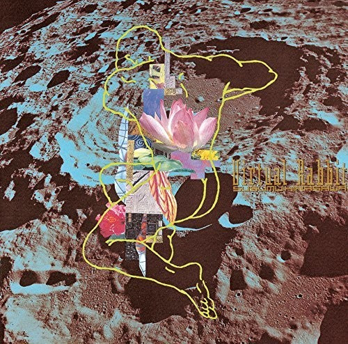 Susumu Hirasawa - Virtual Rabbit