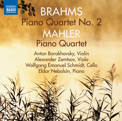 Brahms/ Mahler/ Barakhovsky - Piano Quartets