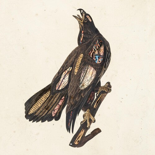 Clutch - Book Of Bad Decisions