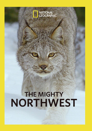 The Mighty Northwest
