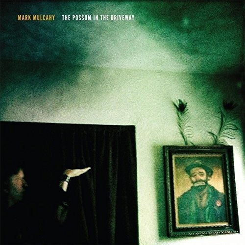 Mark Mulcahy - The Possum In The Driveway