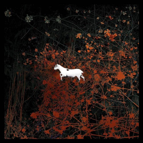 Les Discrets - Predateurs