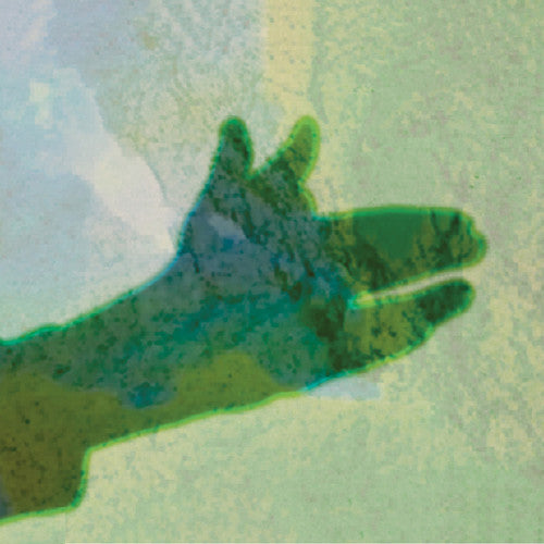 Native Instrument - Camo