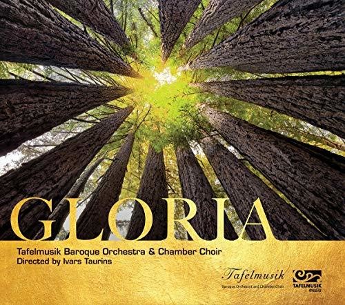 J.S. Bach / White - Gloria