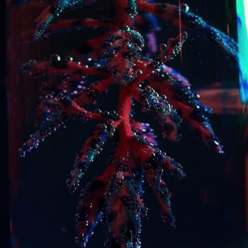 Objekt - Cocoon Crush