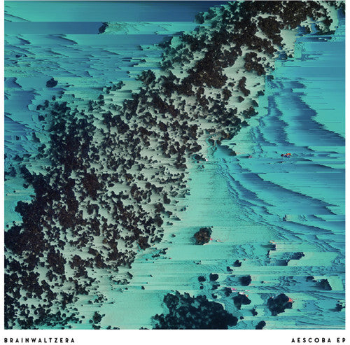Brainwaltzera - Aescoba