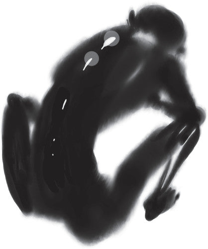 Steoples - Six Rocks