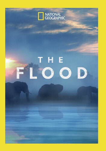 The Flood