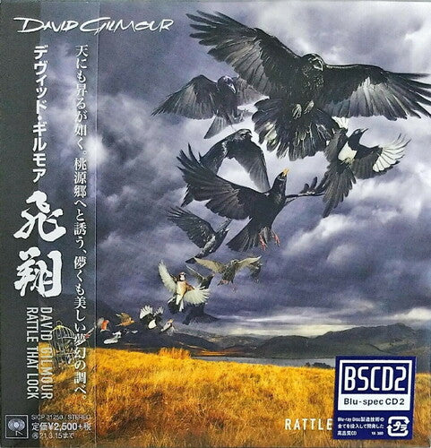 David Gilmour - Rattle That Lock