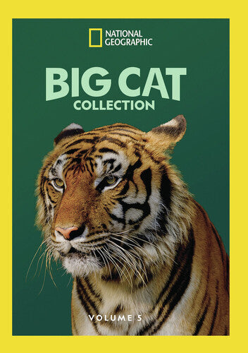 Big Cat Collection, Vol. 5